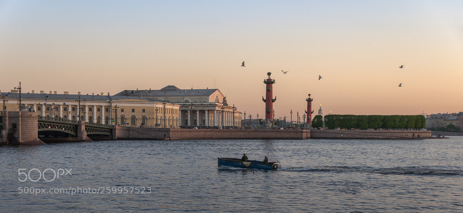 Nikon D90 sample photo. Чайки, рыбаки и Стрелка photography