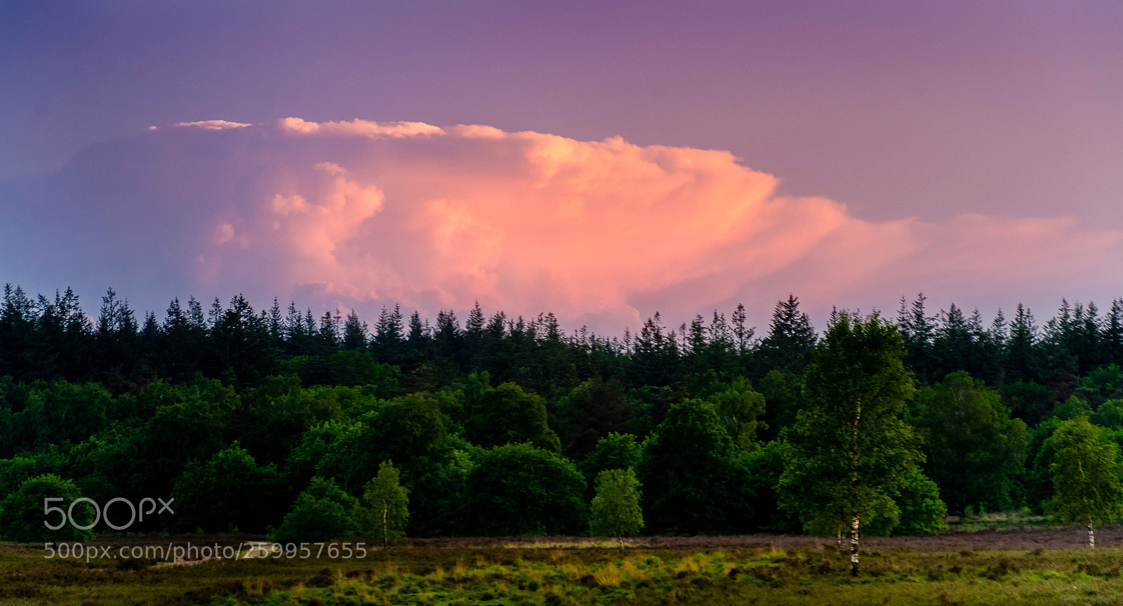 Nikon D7000 sample photo. Big cloud photography