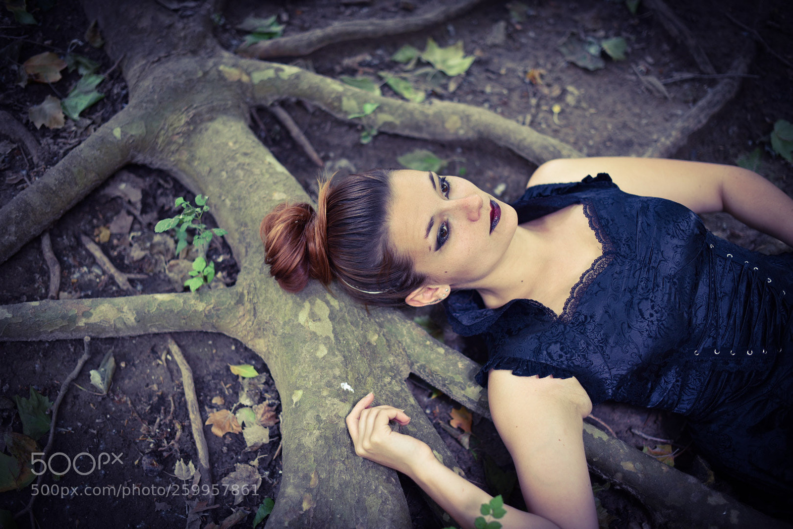Nikon D750 sample photo. Untitled photography