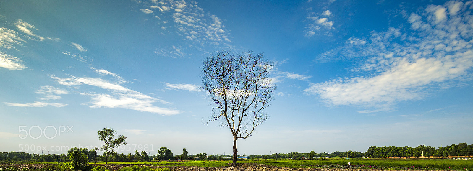 Canon EOS 6D sample photo. Untitled photography