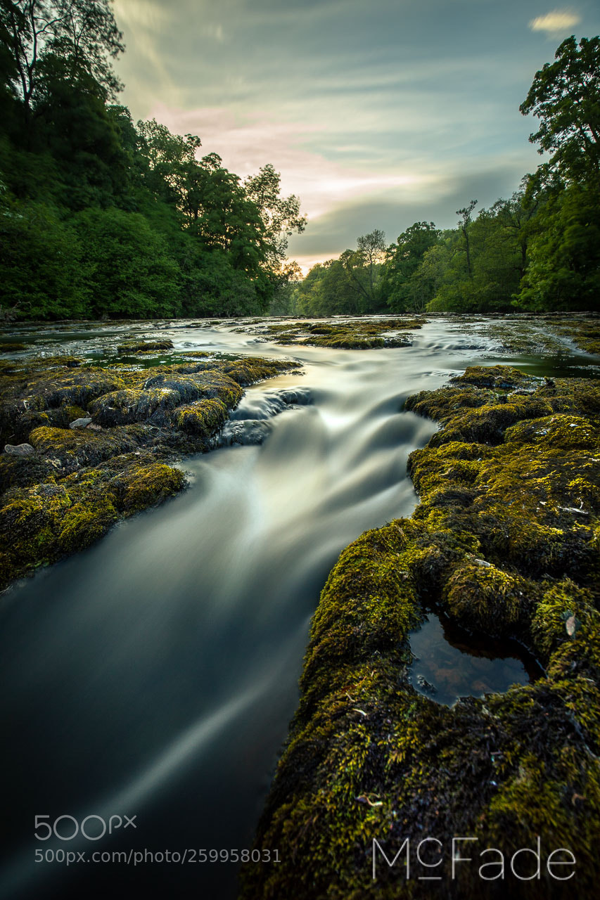 Canon EOS 5D Mark IV sample photo. Aysgarth - 264 wensleydale photography