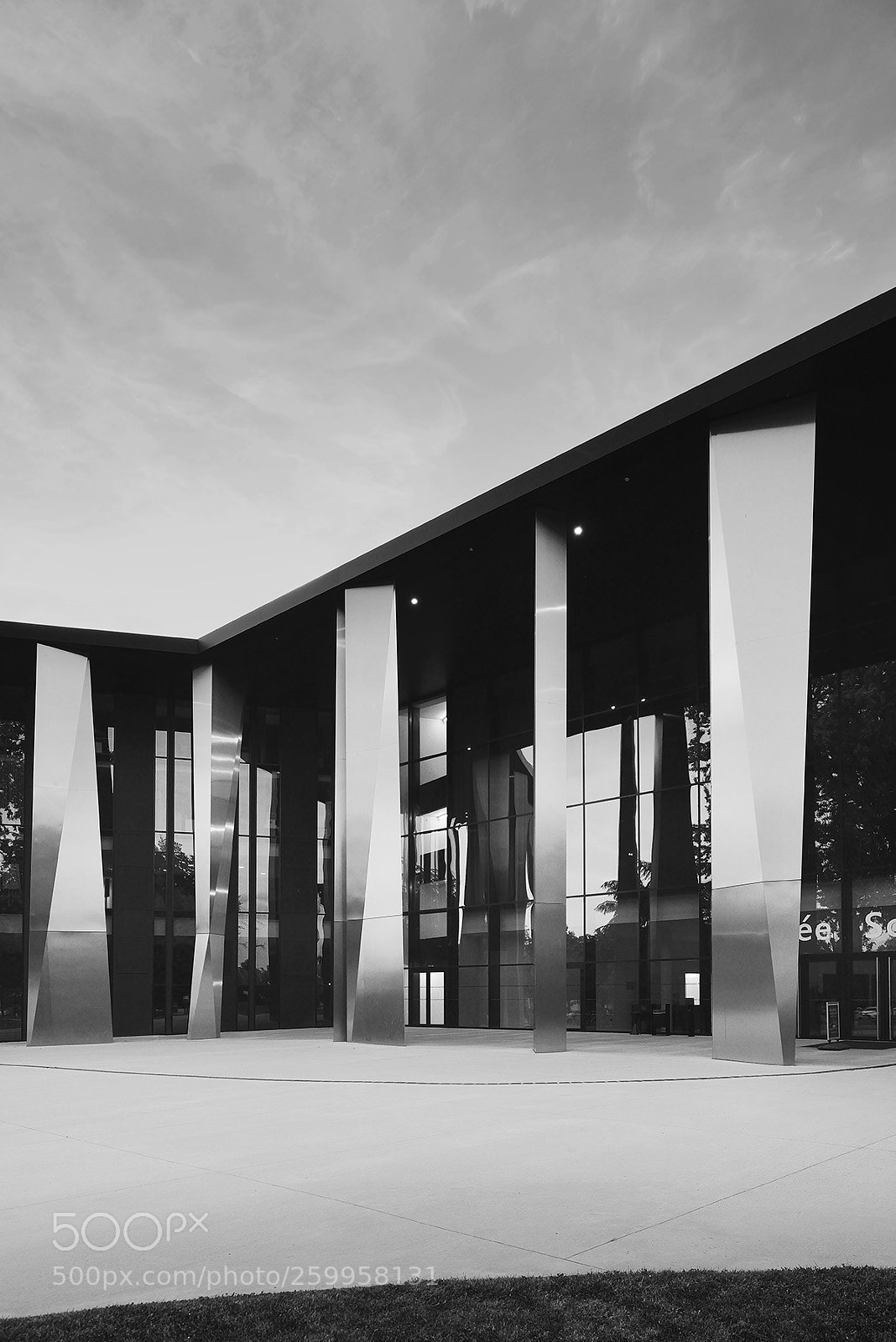 Nikon D800 sample photo. Pmc strasbourg #7 photography