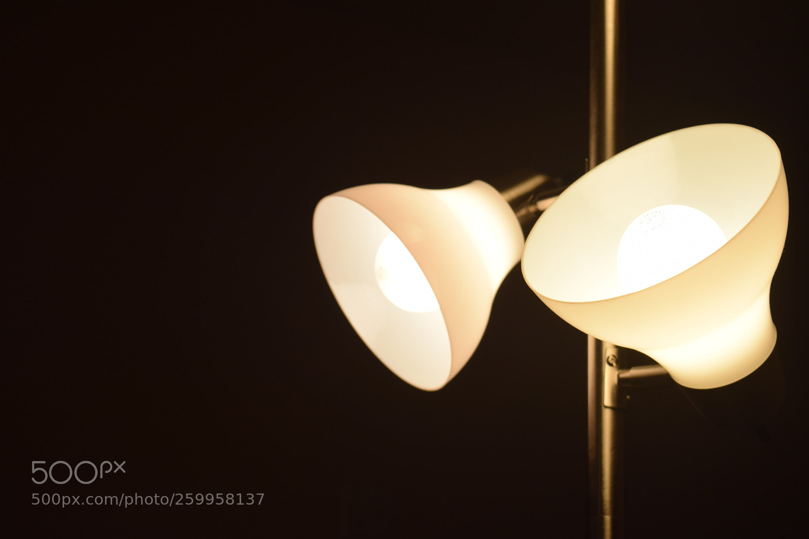Nikon D3300 sample photo. Lamp photography