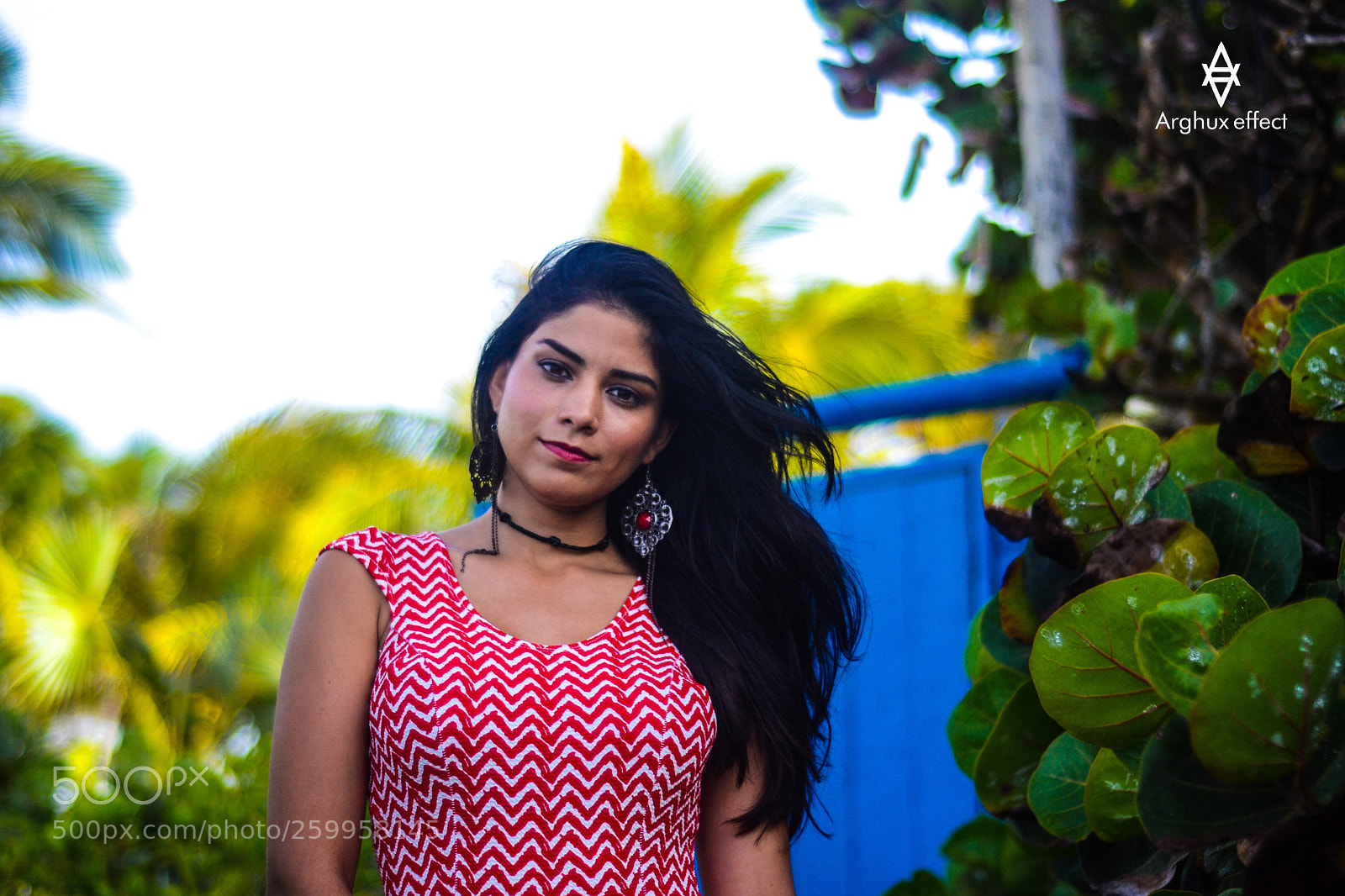 Nikon D3100 sample photo. Tropical breeze
 photography
