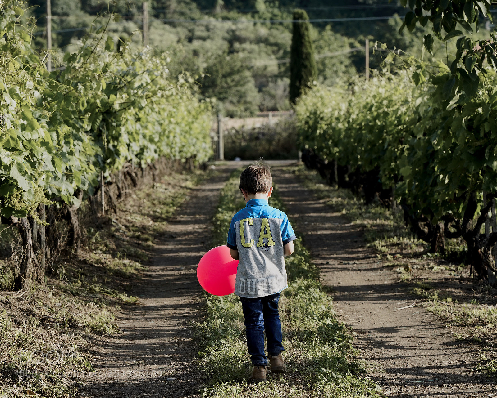 Sony a7 III sample photo. Vigna palloncino photography