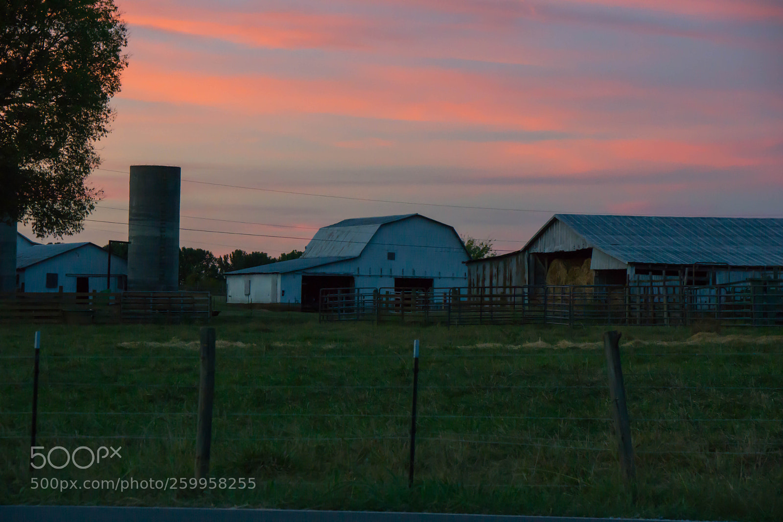 Sony a6000 sample photo. Sunset on the farm photography