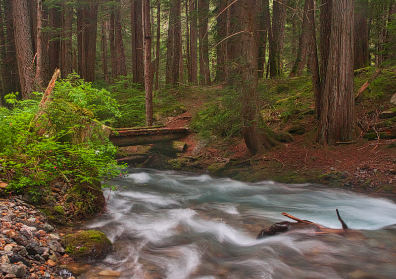 Sigma 17-70mm F2.8-4 DC Macro OS HSM | C sample photo. Cascade creek photography