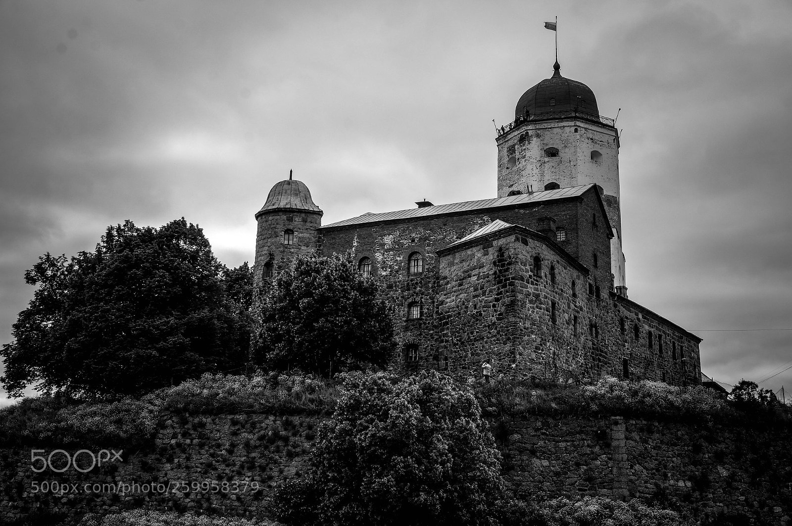 Sony Alpha NEX-6 sample photo. Vyborg photography