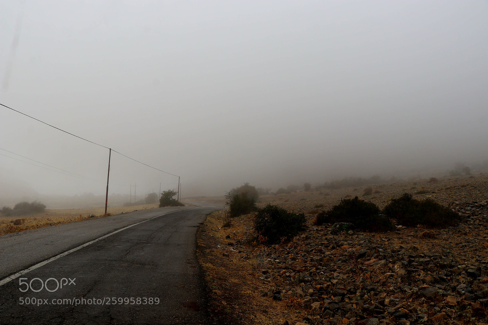 Canon EOS 80D sample photo. Fog photography