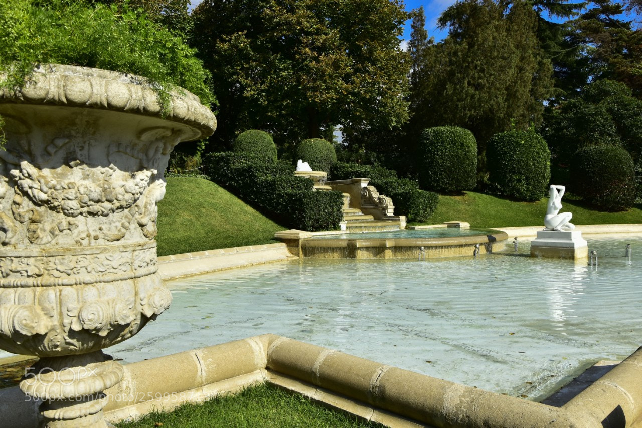 Nikon D7200 sample photo. Jardines photography