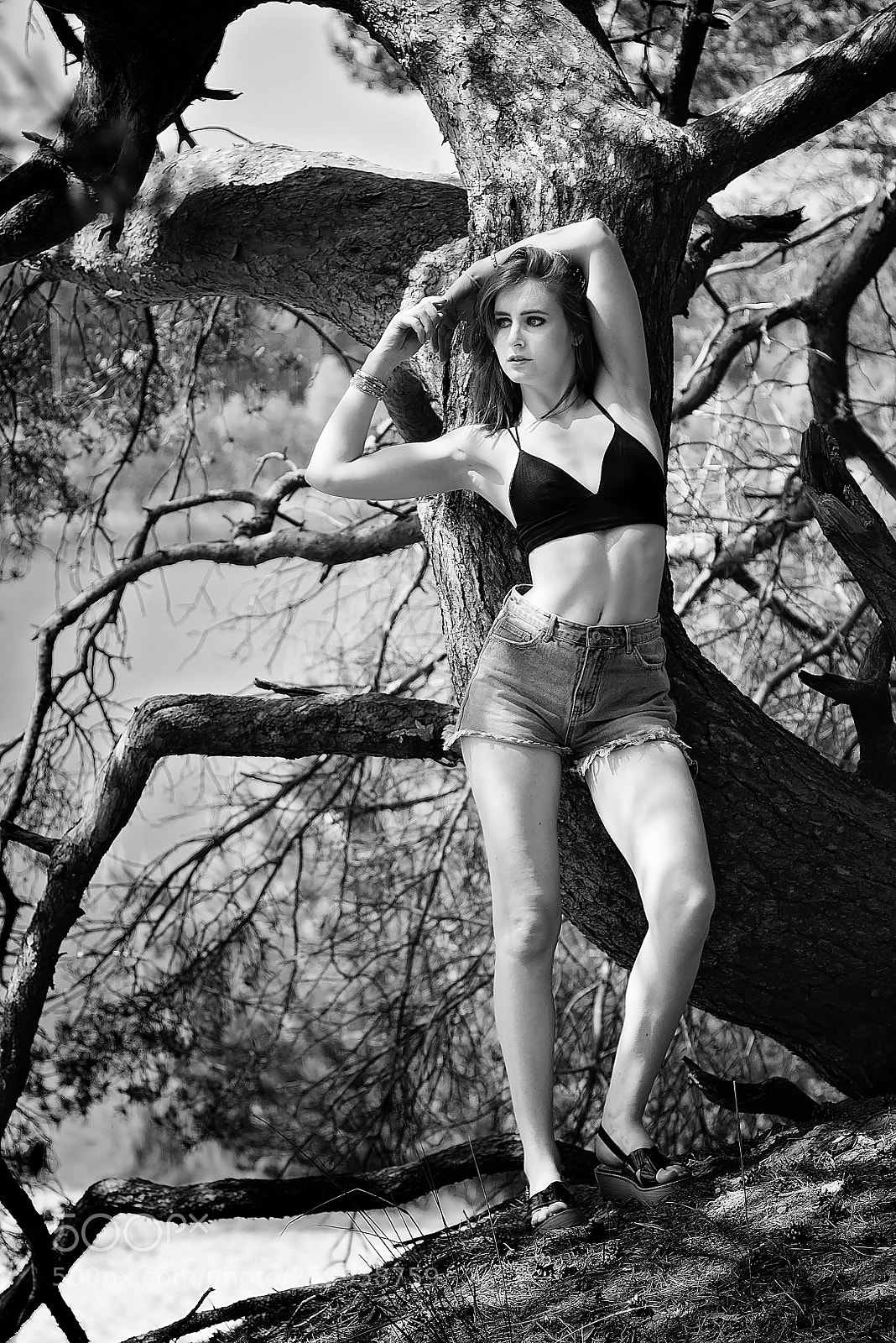 Nikon D750 sample photo. Contrasts photography