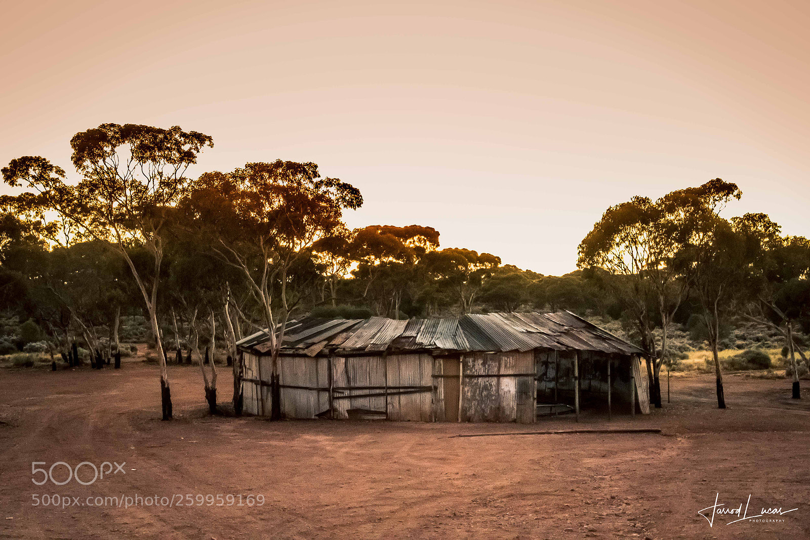 Canon EOS 7D Mark II sample photo. Sun up for two-up photography