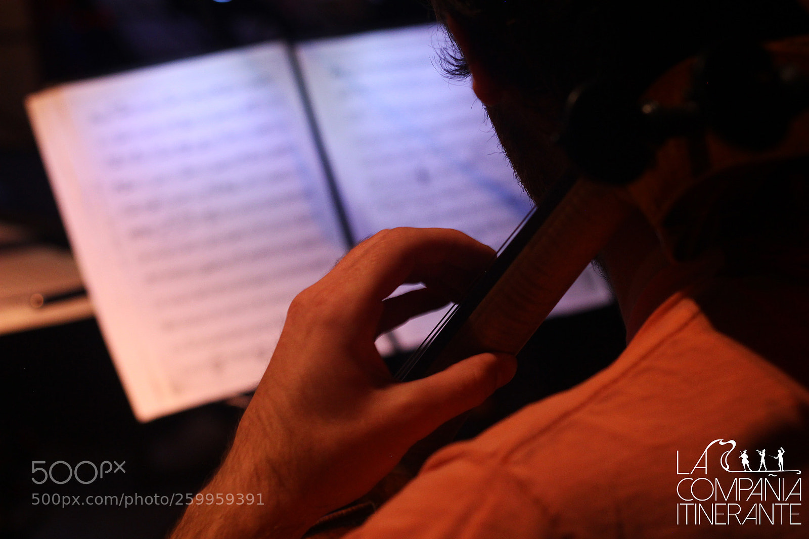 Canon EOS 600D (Rebel EOS T3i / EOS Kiss X5) sample photo. Ensayo de orfeo en photography