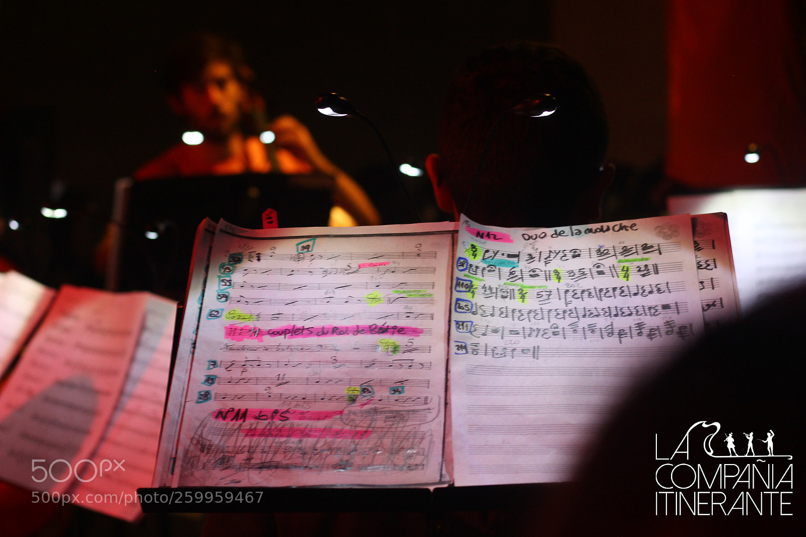 Canon EOS 600D (Rebel EOS T3i / EOS Kiss X5) sample photo. Ensayo de orfeo en photography
