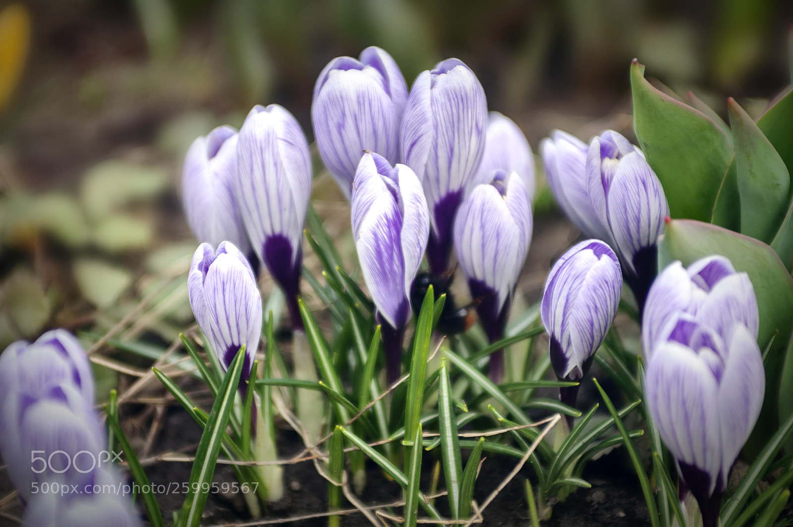 Nikon D90 sample photo. ... photography
