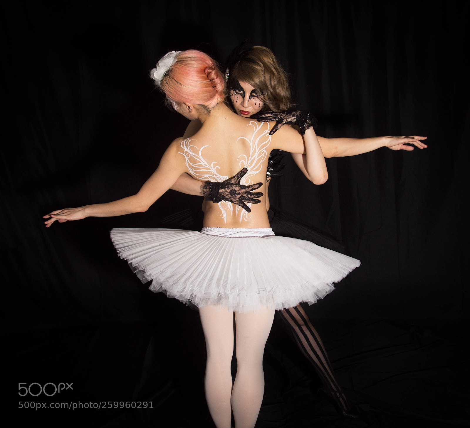 Nikon D7200 sample photo. Black + white swan photography