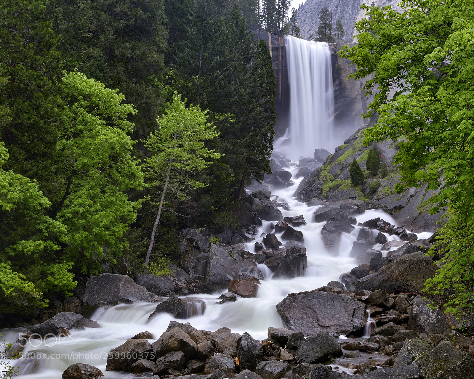 Nikon D800E sample photo. Vernal falls photography