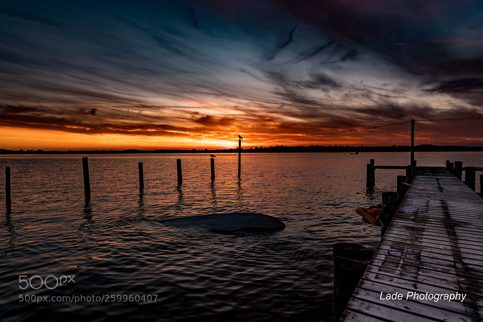 Nikon D5 sample photo. Sunset by the sea photography