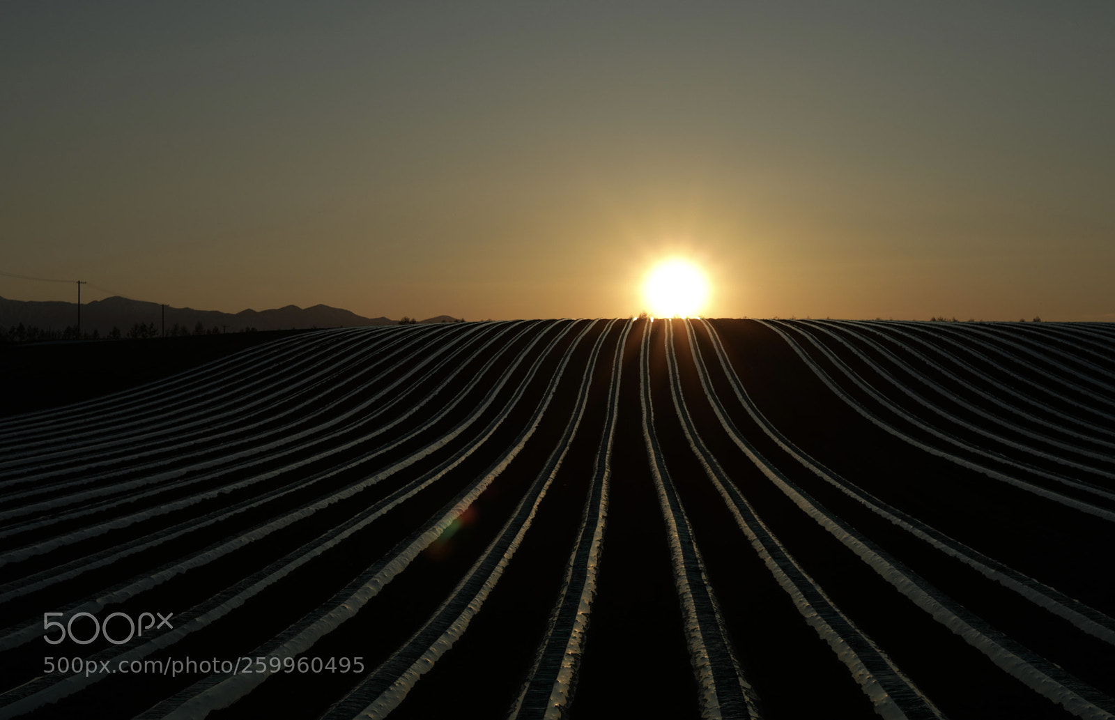 Canon EOS 5D Mark IV sample photo. Sunset photography
