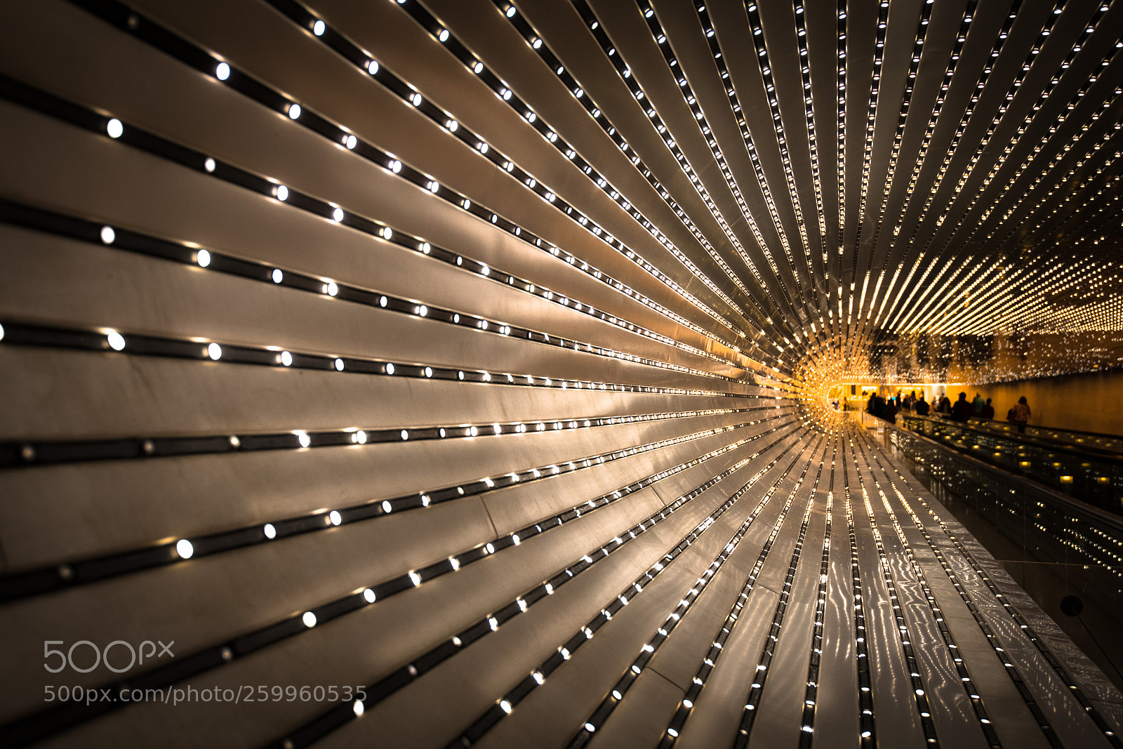 Nikon D850 sample photo. The light tunnel of photography