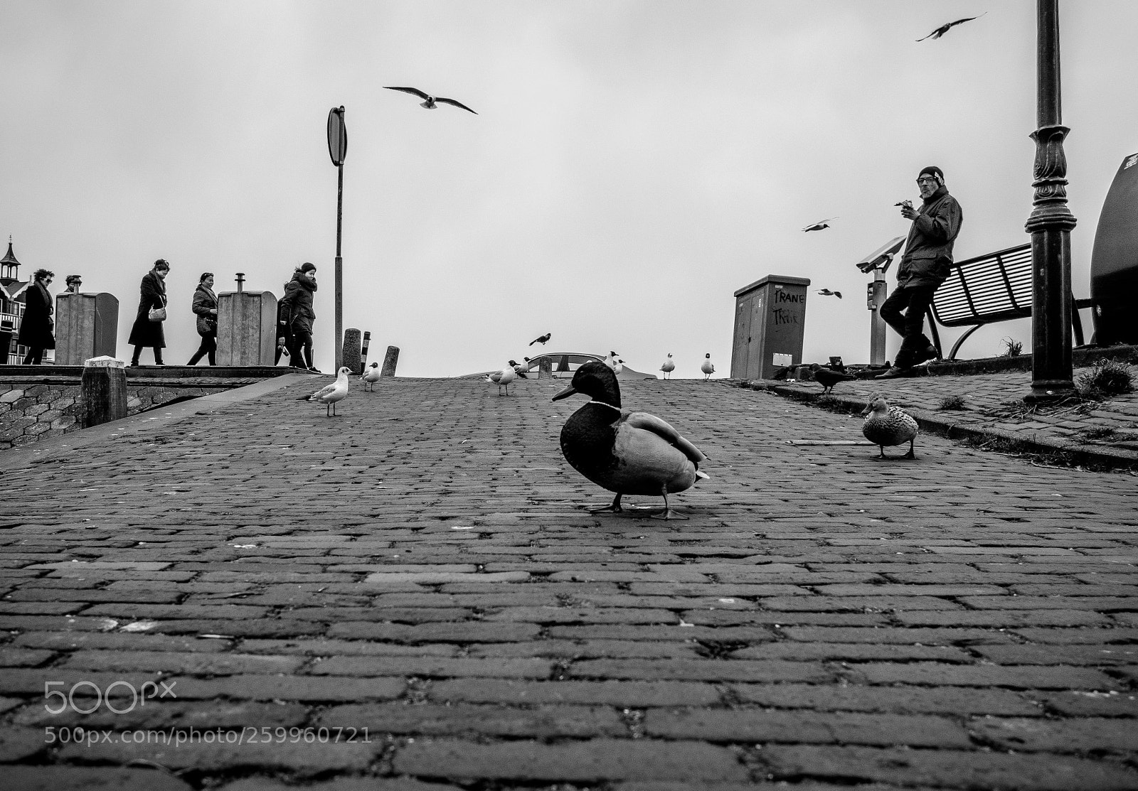 Olympus OM-D E-M10 sample photo. Volendam tourism photography