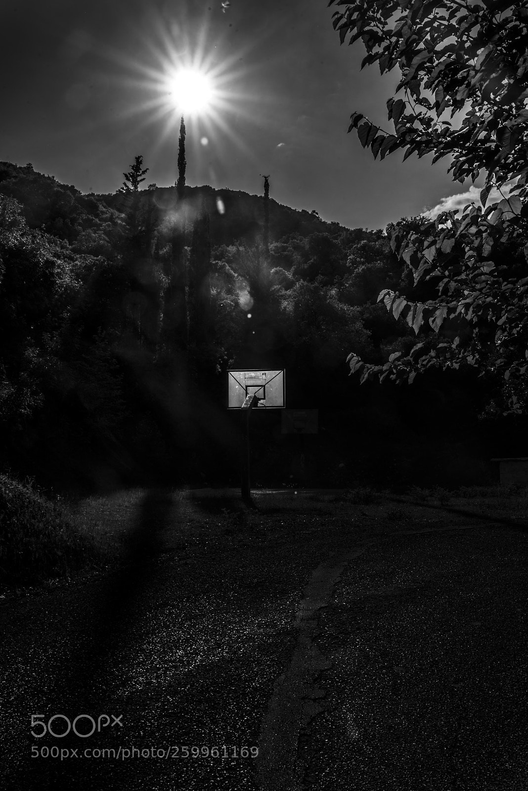 Nikon D750 sample photo. Basketball court photography
