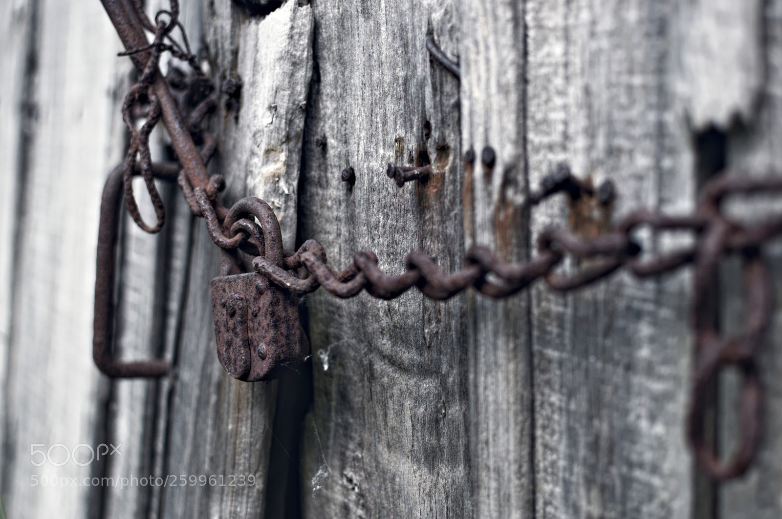 Nikon D3200 + Nikon AF-S DX Nikkor 35mm F1.8G sample photo. The lock photography
