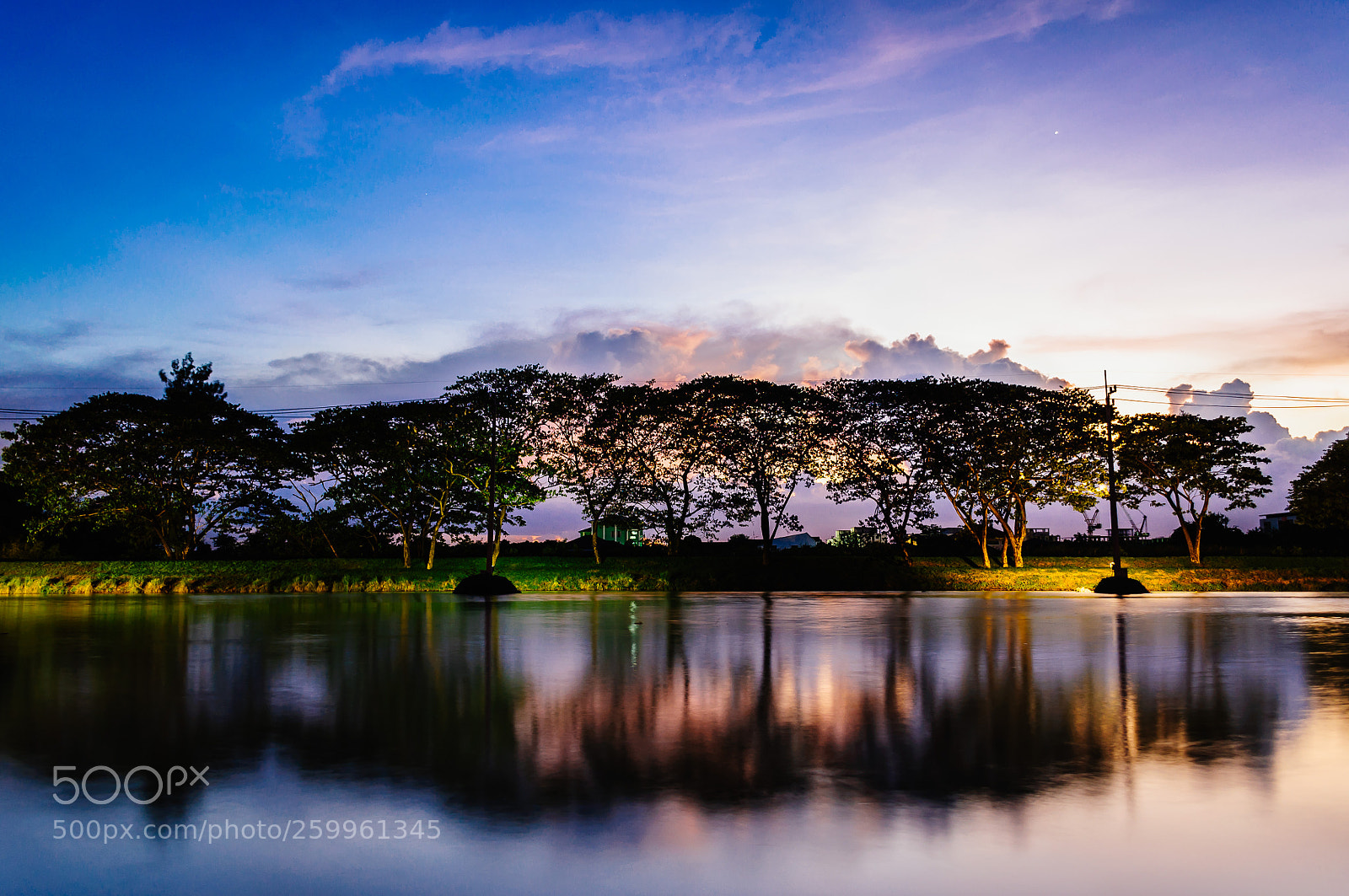 Nikon D5000 sample photo. Silhouette tree in the photography