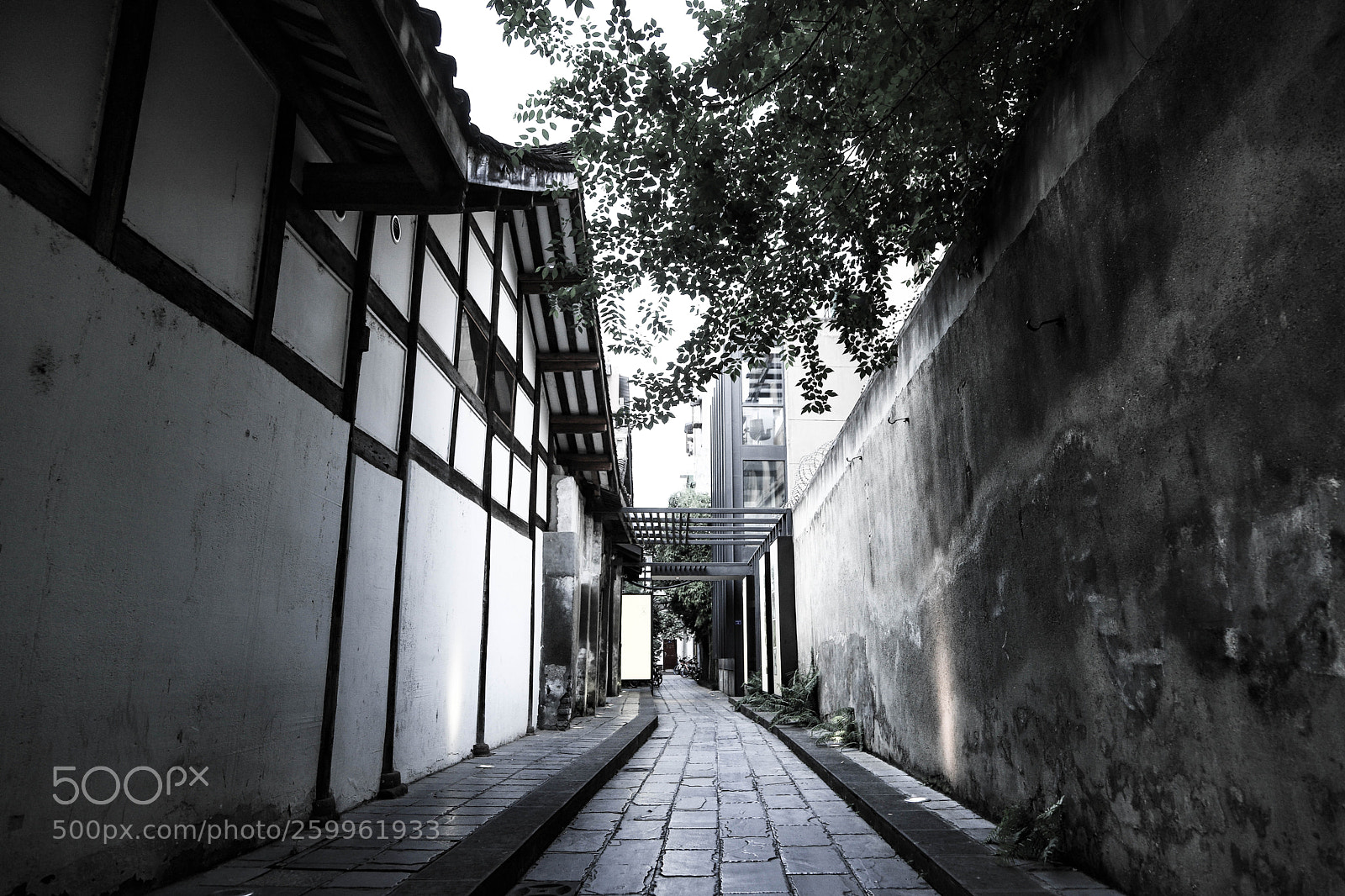 Canon EOS 6D Mark II sample photo. Camino photography