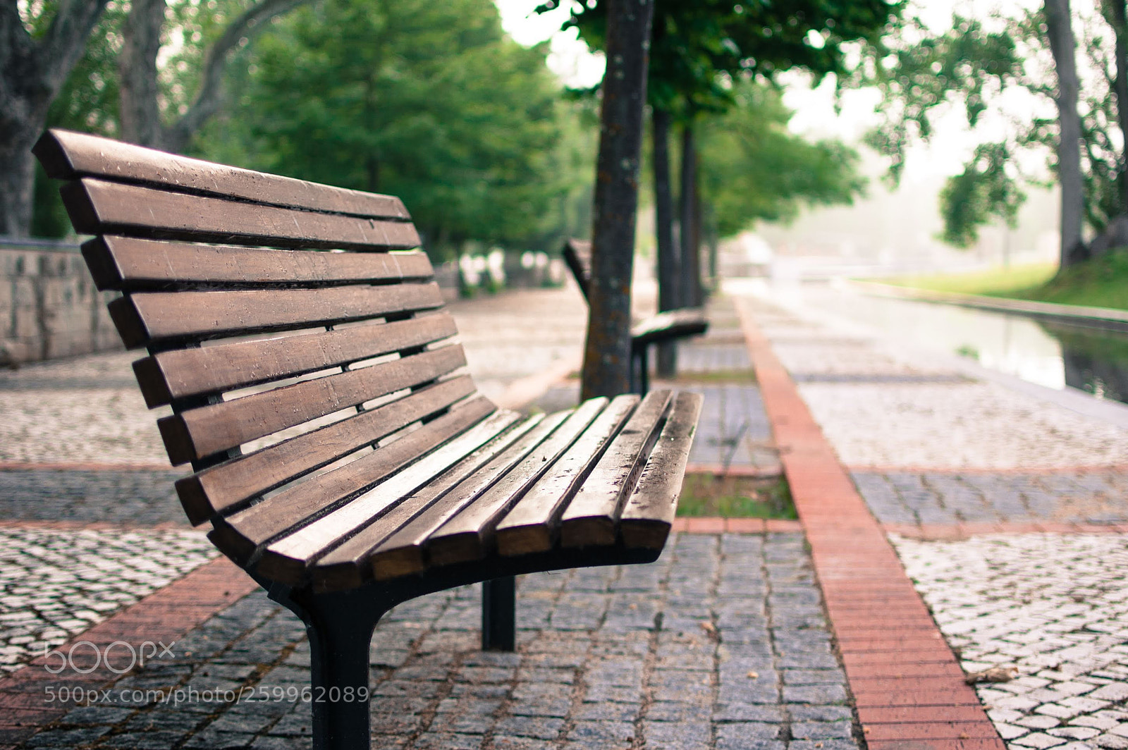 Nikon D40 sample photo. Barquinha - bench_1 photography