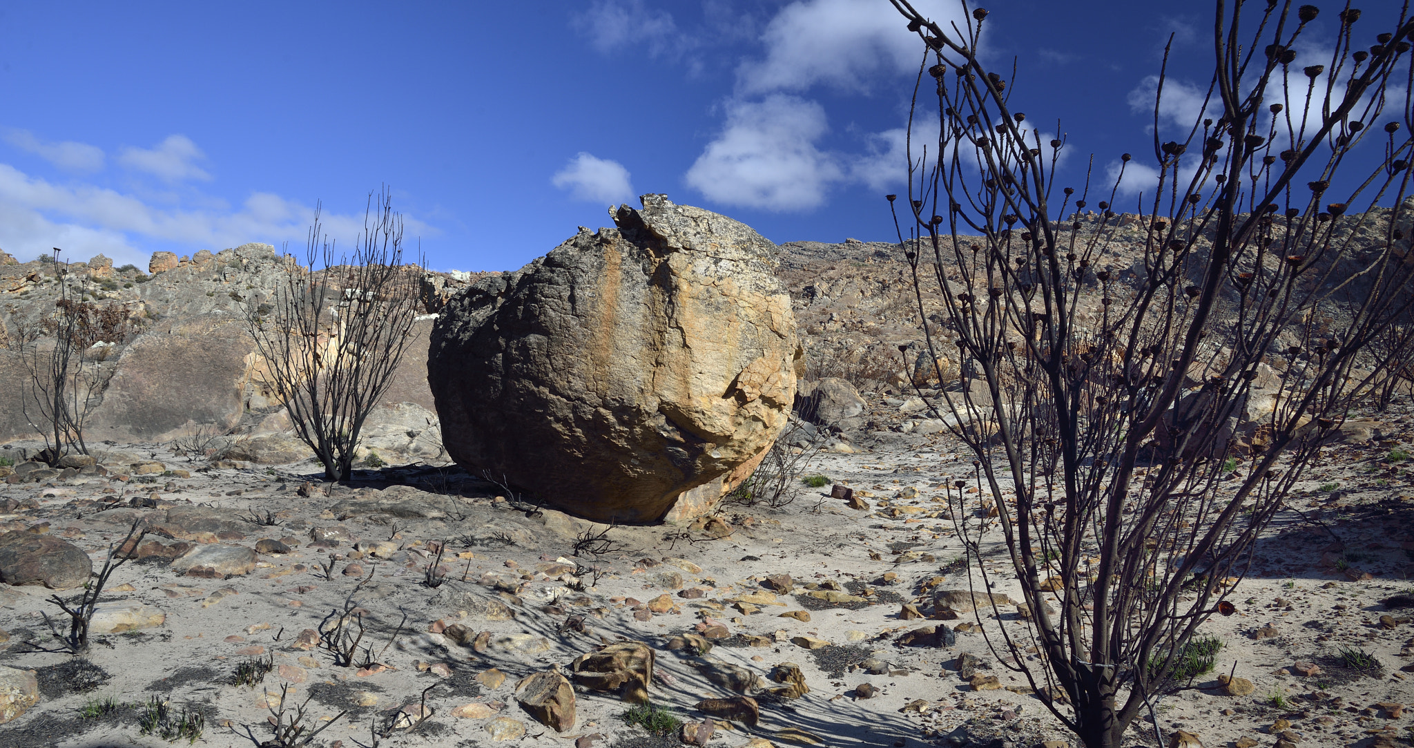 Nikon AF-S Nikkor 20mm F1.8G ED sample photo. Ceder berg photography