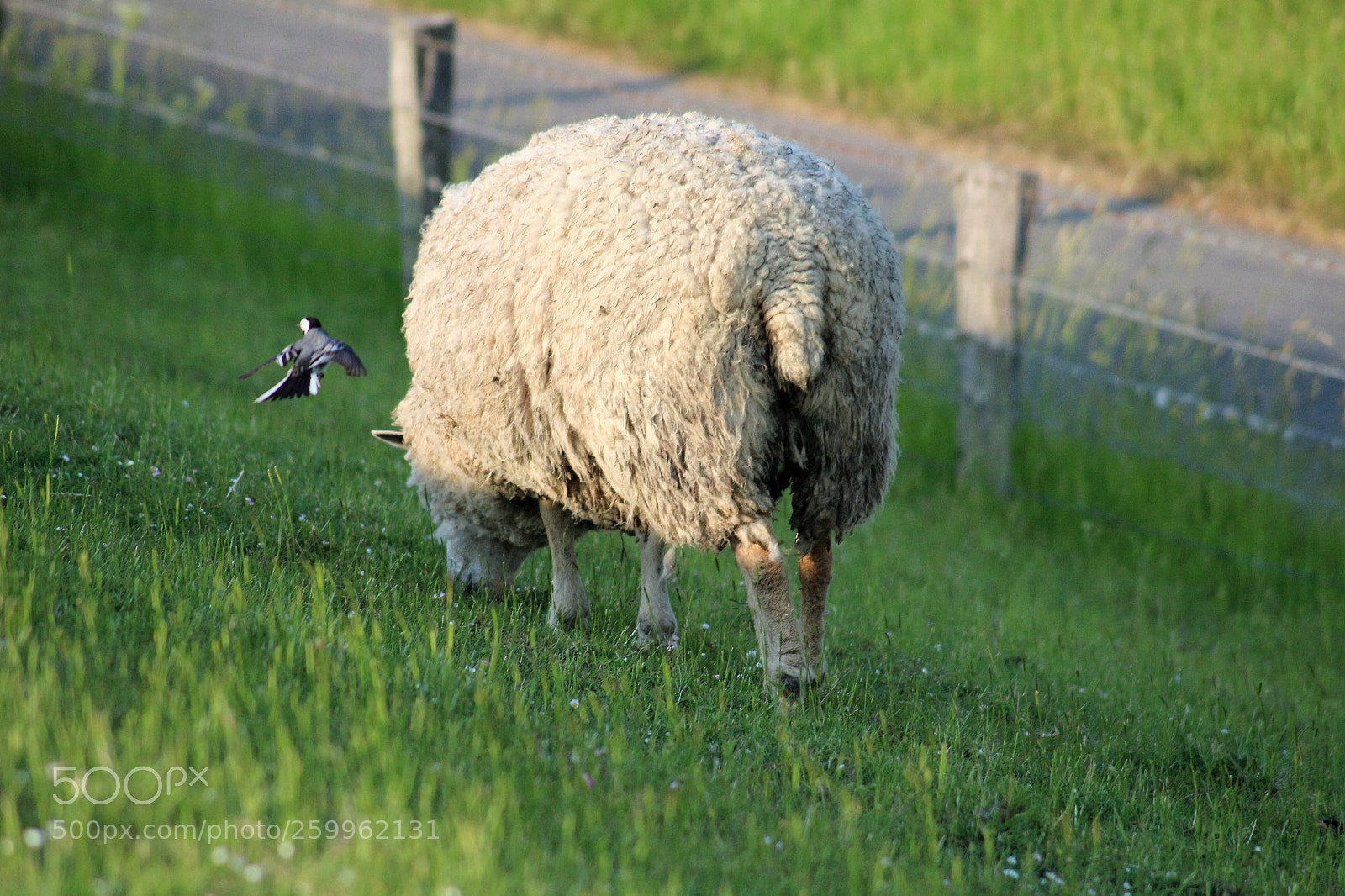 Canon EOS 100D (EOS Rebel SL1 / EOS Kiss X7) sample photo. Hey you can you photography