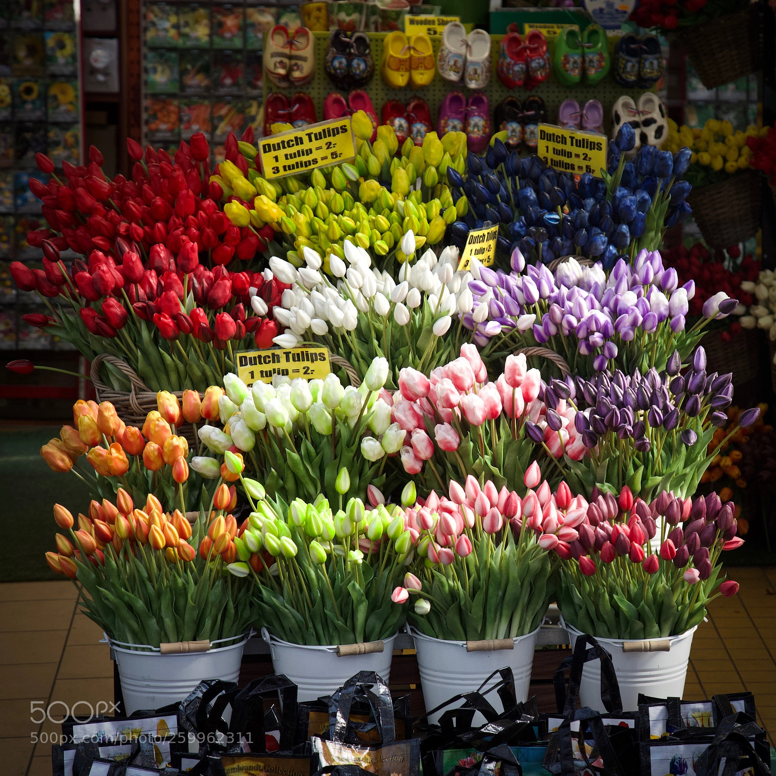 Canon EOS 6D sample photo. Tulips photography