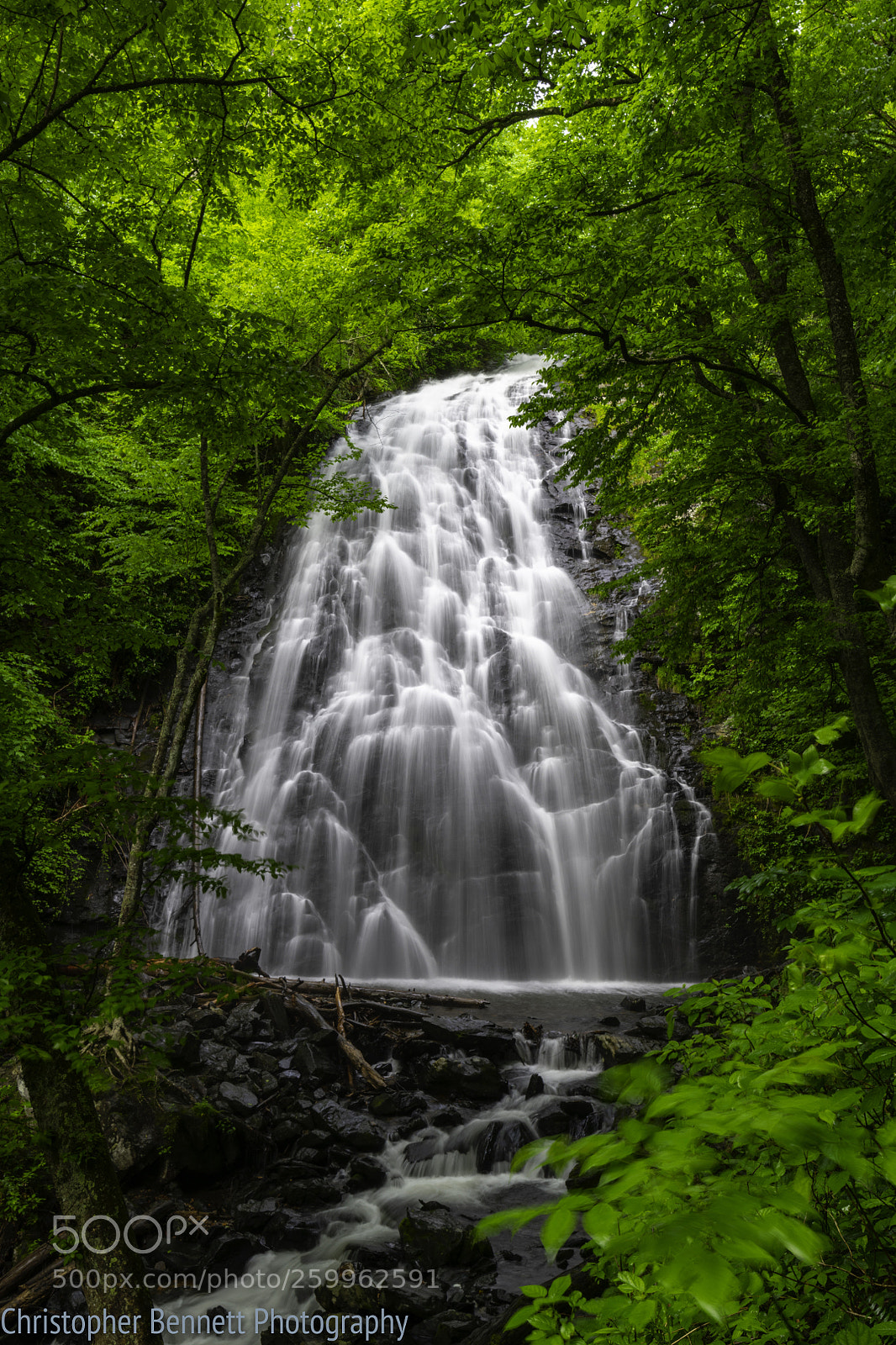 Nikon D850 sample photo. Crabtree falls. photography