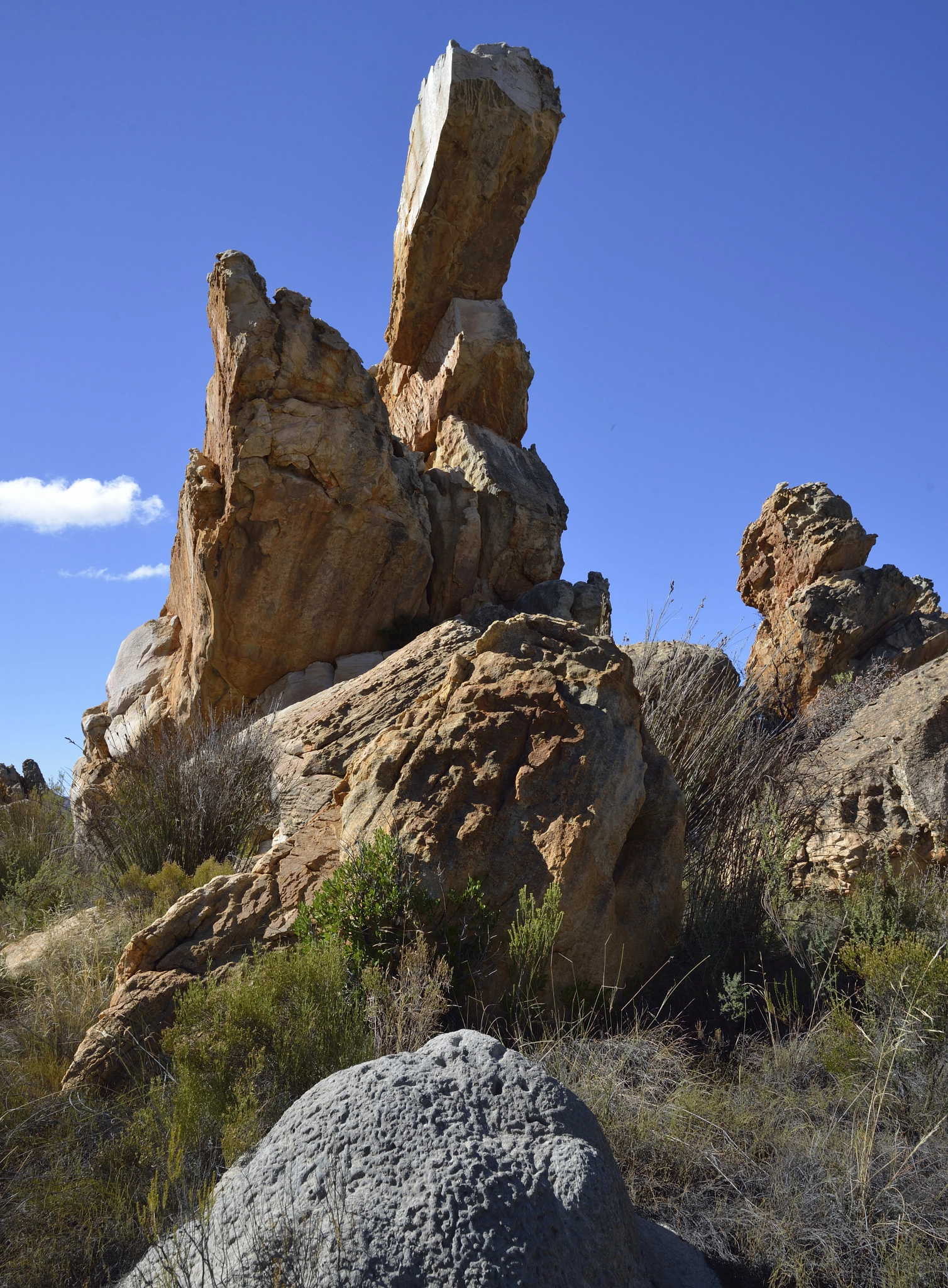 Nikon D800 + Nikon AF-S Nikkor 20mm F1.8G ED sample photo. Cederberg photography