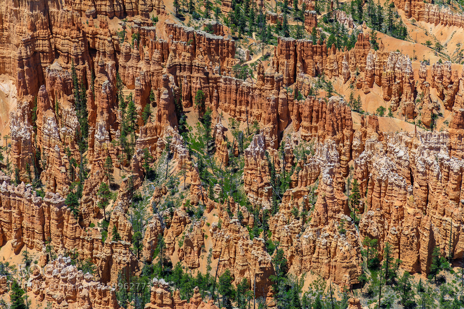 Canon EOS 5D Mark IV sample photo. Bryce canyon national park 1497 photography
