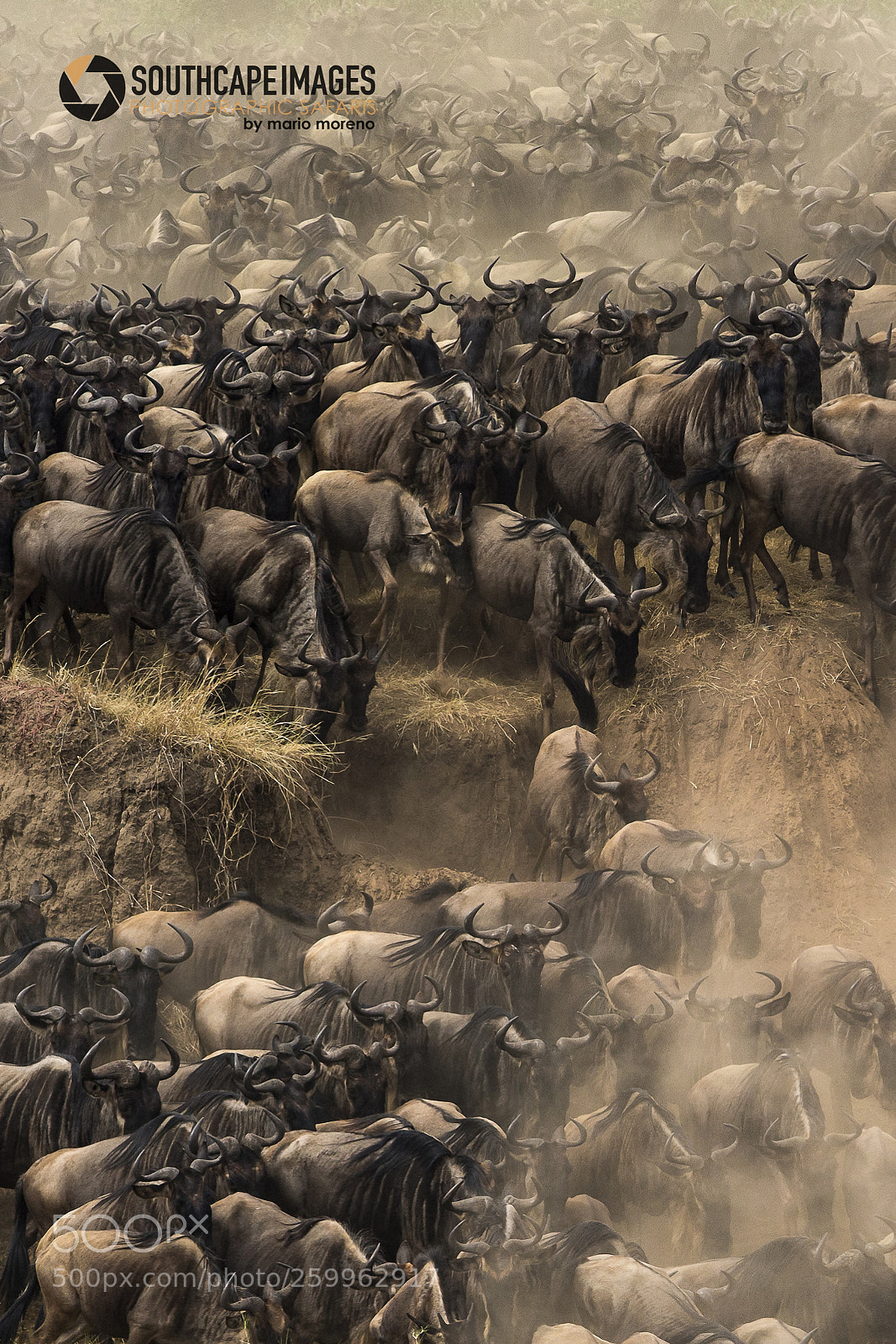 Canon EOS-1D X sample photo. Rush hour in the photography