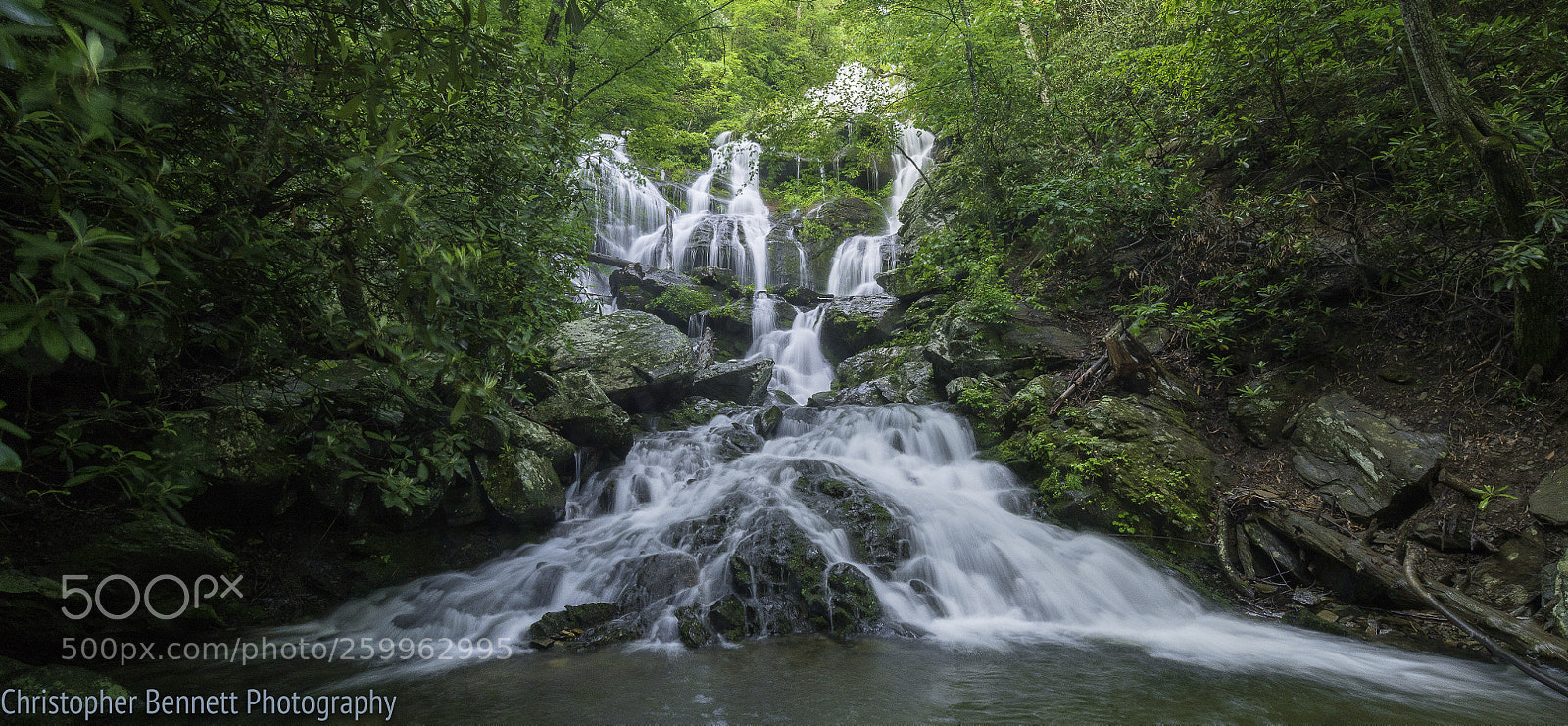 Nikon D850 sample photo. Catawba falls photography