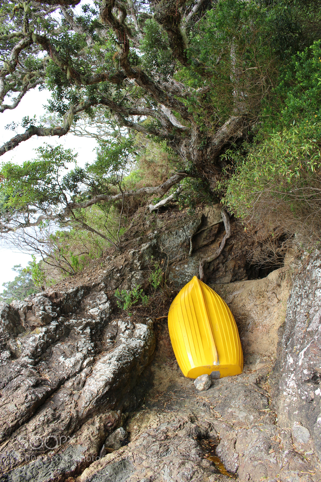 Canon EOS 100D (EOS Rebel SL1 / EOS Kiss X7) sample photo. Yellow boat photography