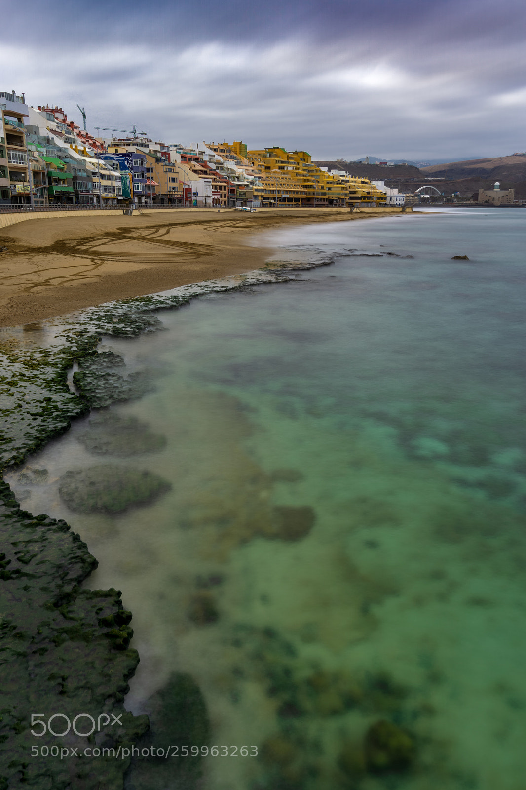 Sony a6000 sample photo. Canaries photography