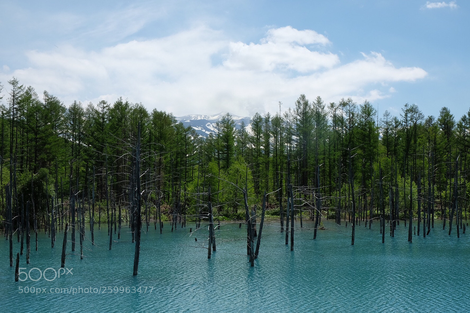 Fujifilm X-T10 sample photo. Shades of blue photography