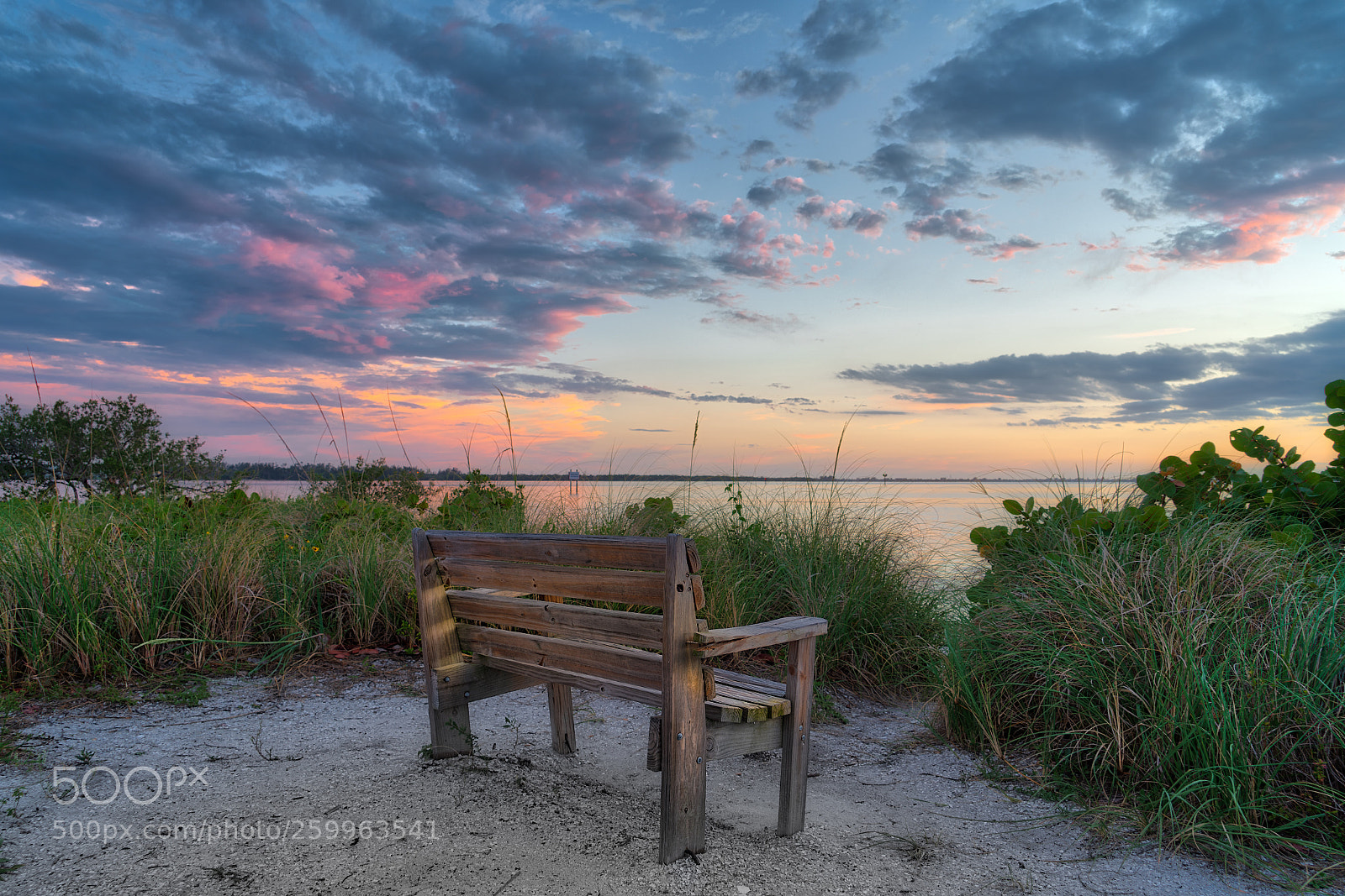 Sony a7R III sample photo. Bench at emerson point photography
