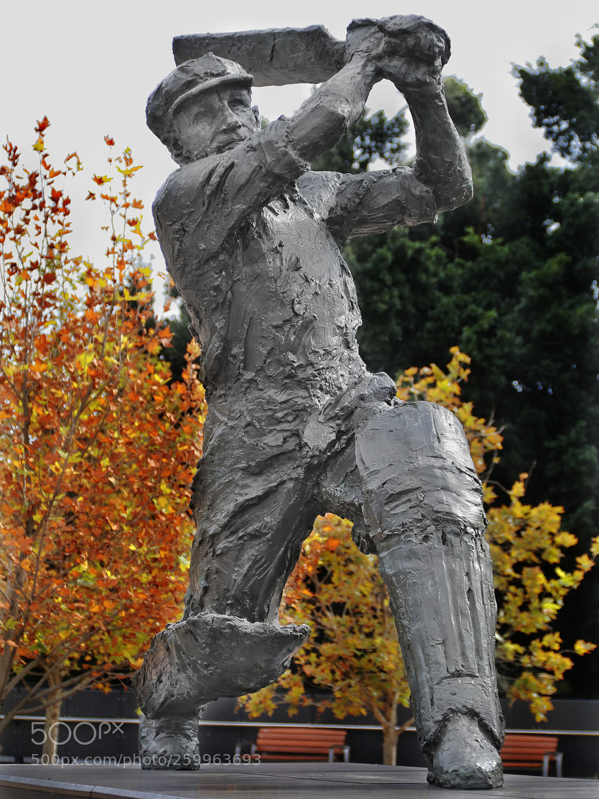 Canon EOS 80D sample photo. Sir donald bradman the photography