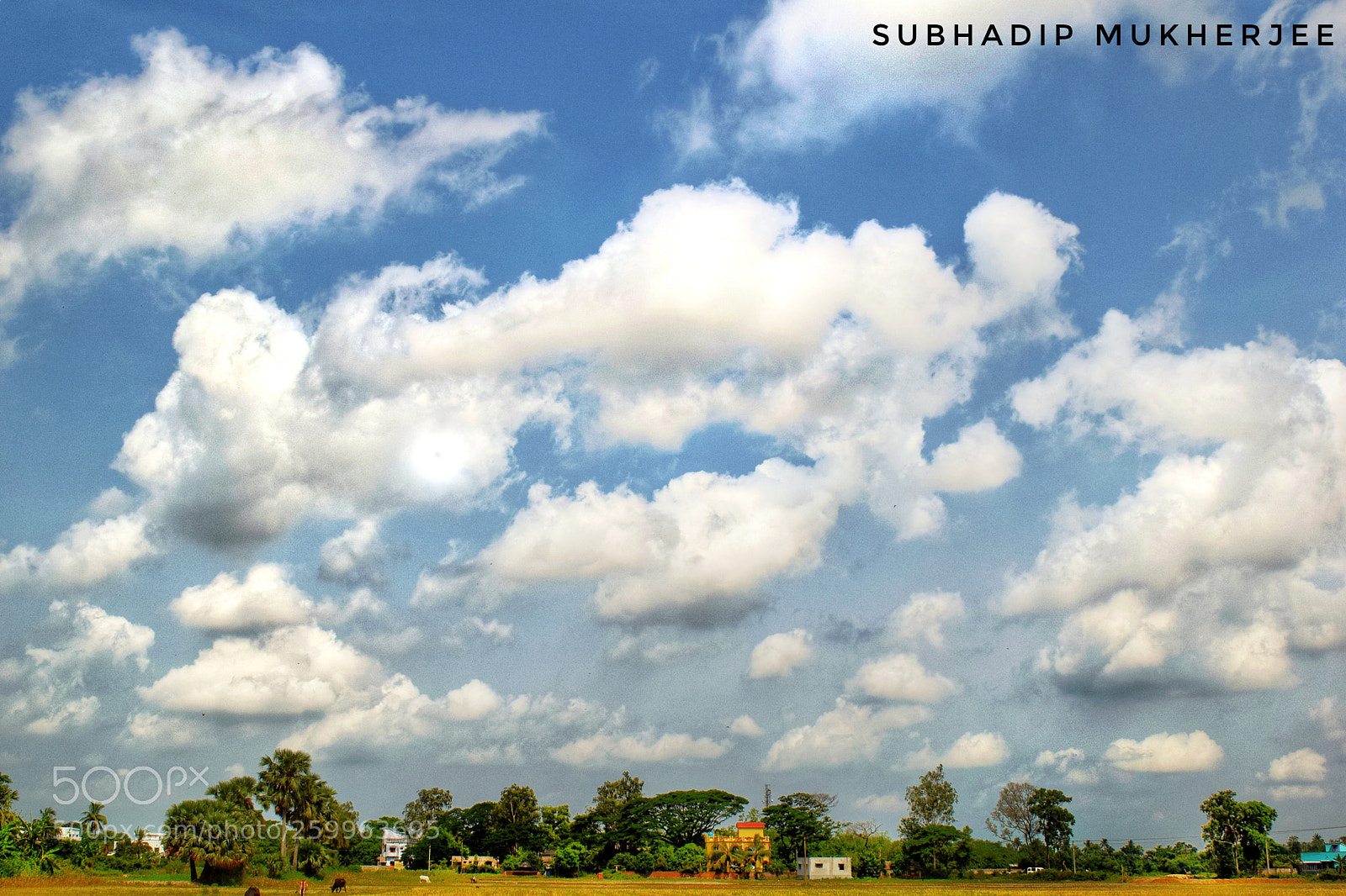 Nikon D3300 sample photo. #a evening scene# photography