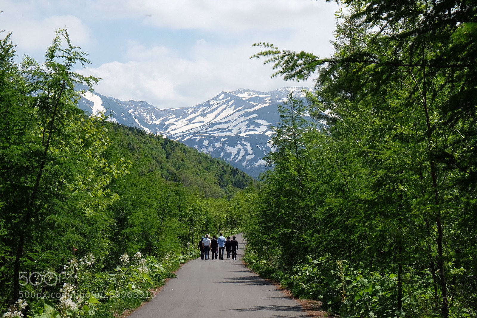 Fujifilm X-T10 sample photo. The walk photography