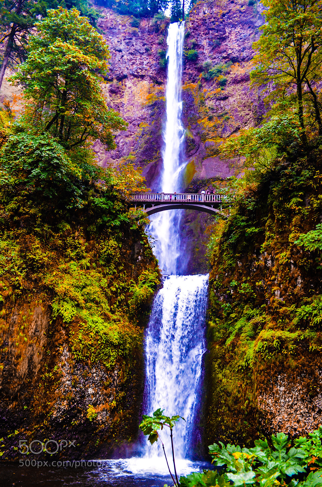 Nikon D5100 sample photo. Beautiful multonomah waterfall  photography