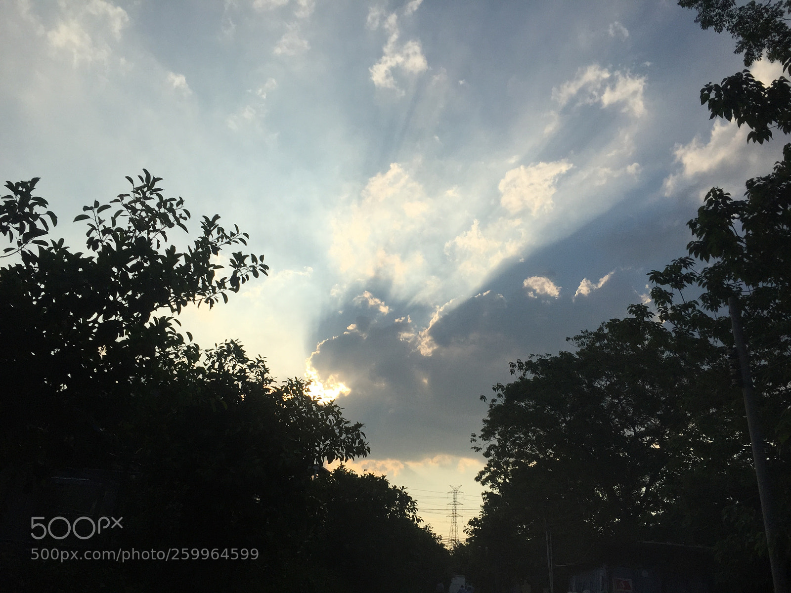 Apple iPhone 6 sample photo. Untitled photography