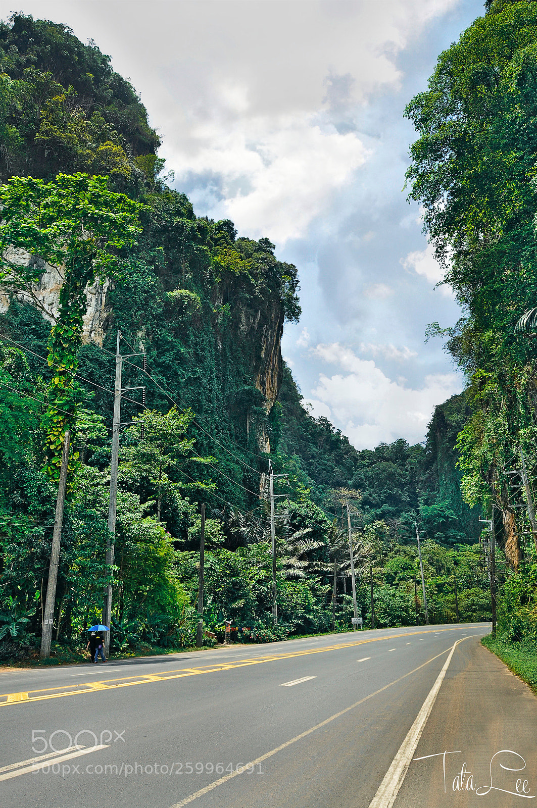 Nikon D5000 sample photo. Jungle photography