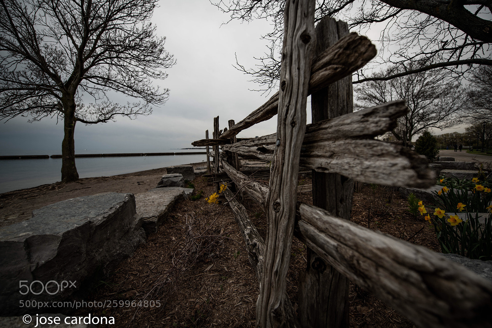 Nikon D850 sample photo. Wood fence  photography