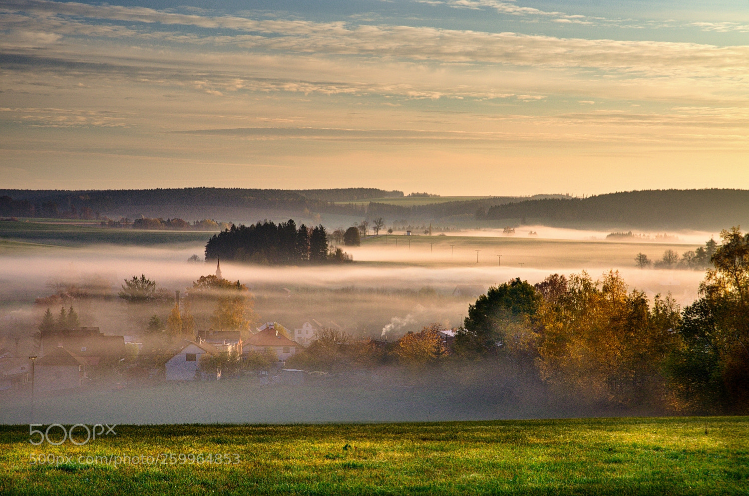 Nikon D7000 sample photo. Krajina v mlze photography